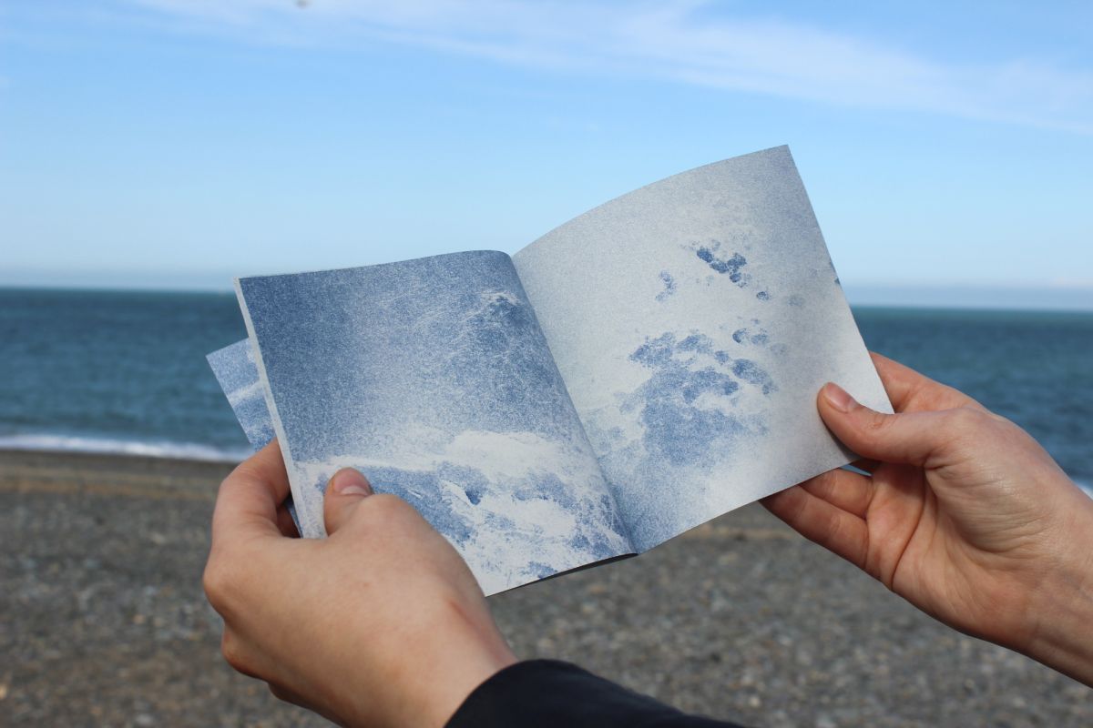 Accompanying RISO printed zine