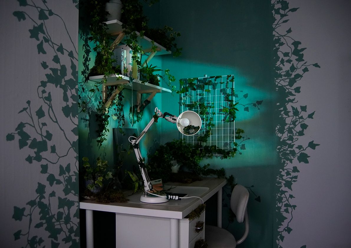 Biophilia and The Domestic, 2021