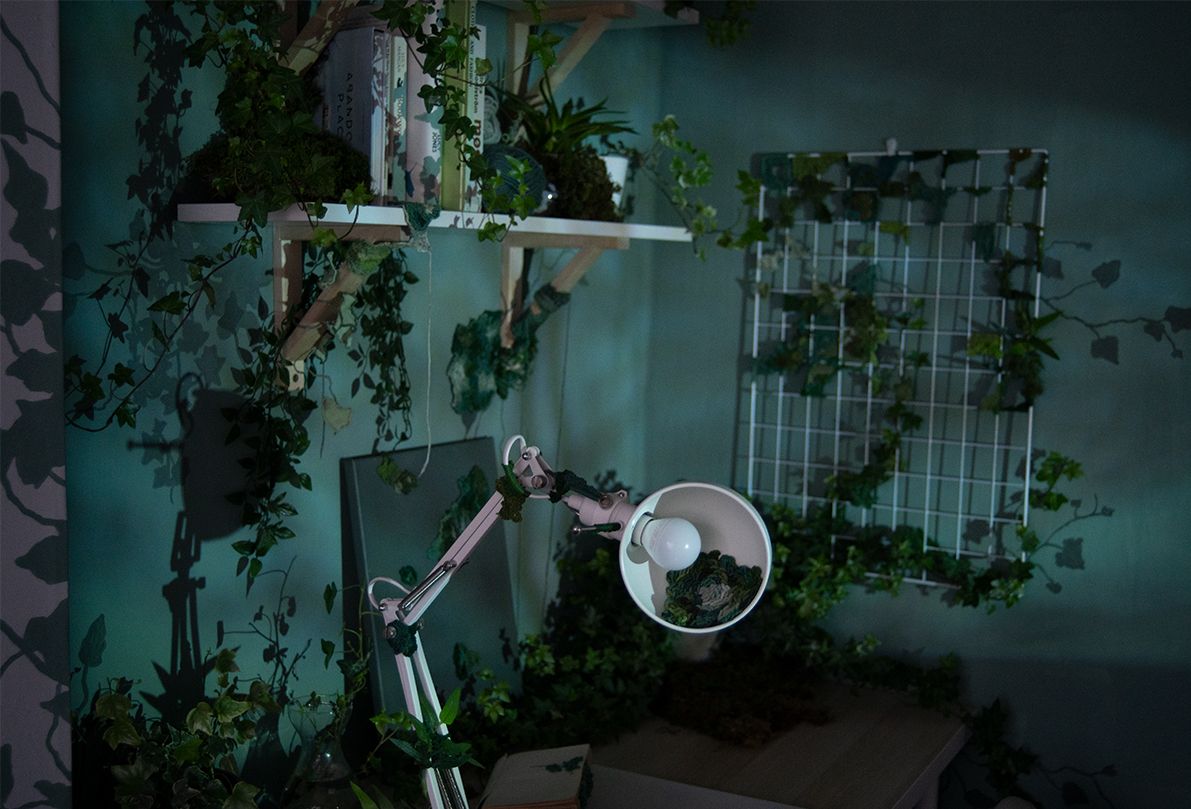 Biophilia And The Domestic, 2021
