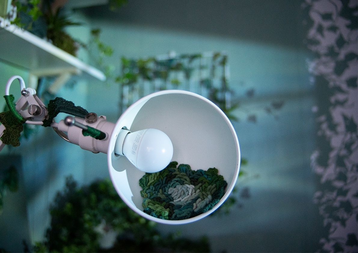 Biophilia and The Domestic, 2021