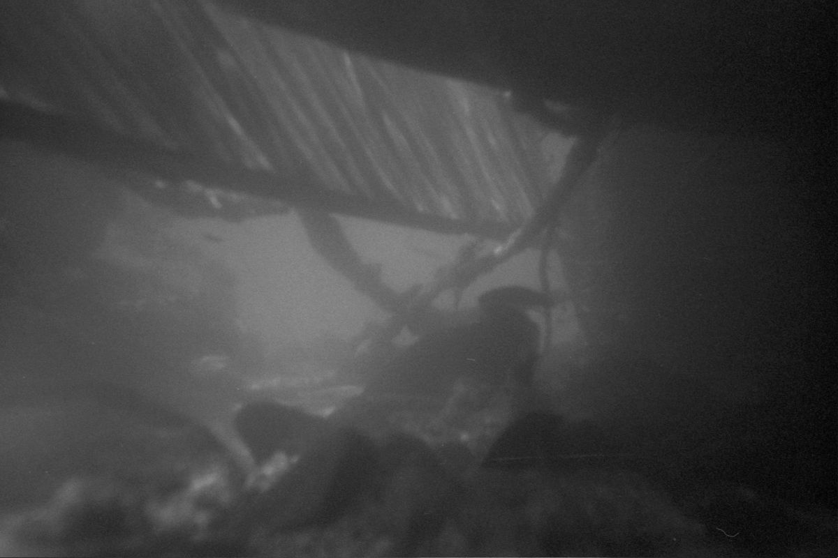 River IV