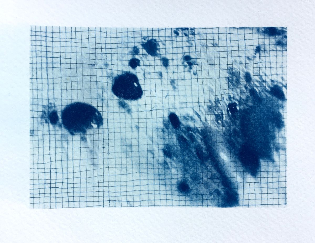 Cyanotype on watercolour paper