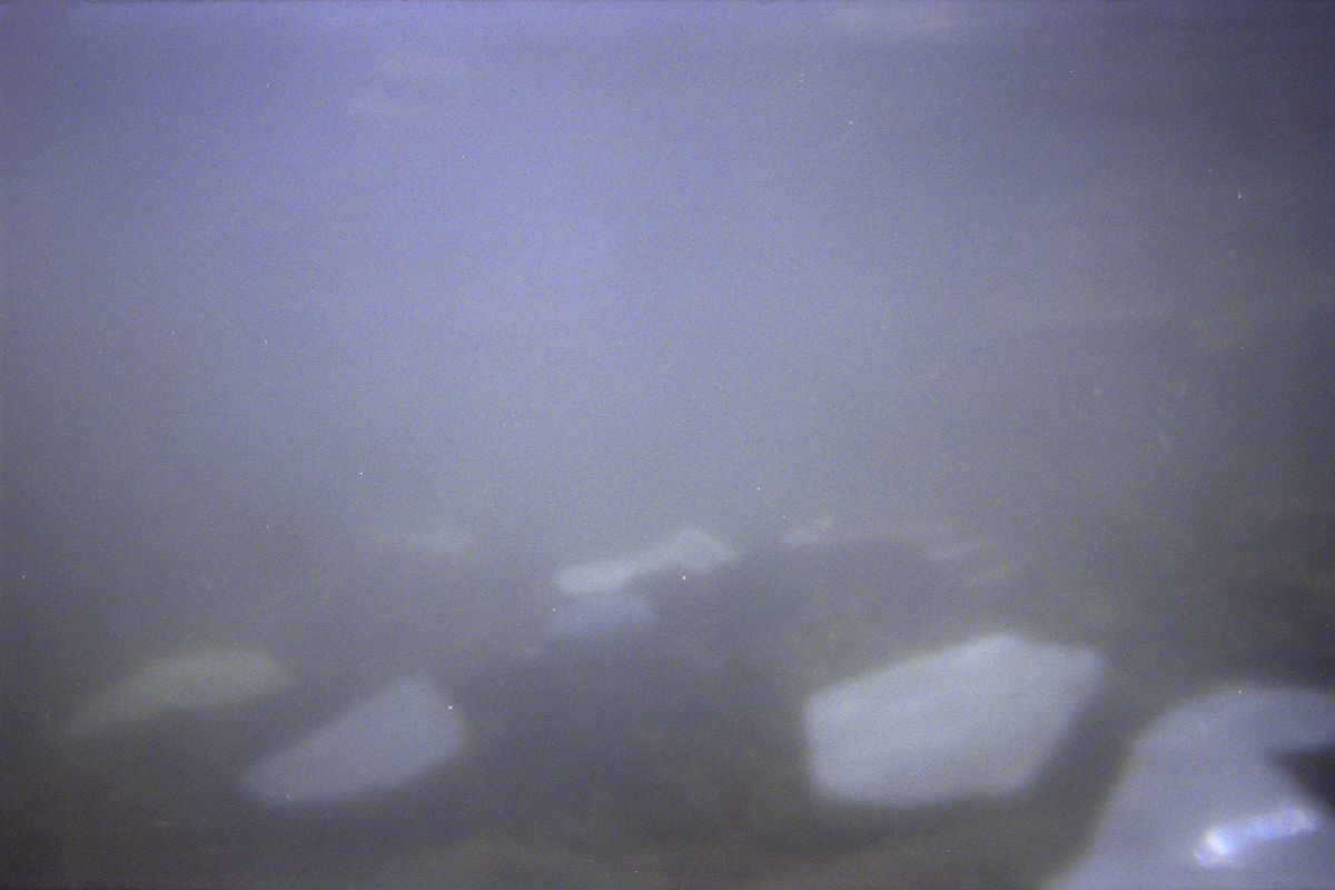 River II