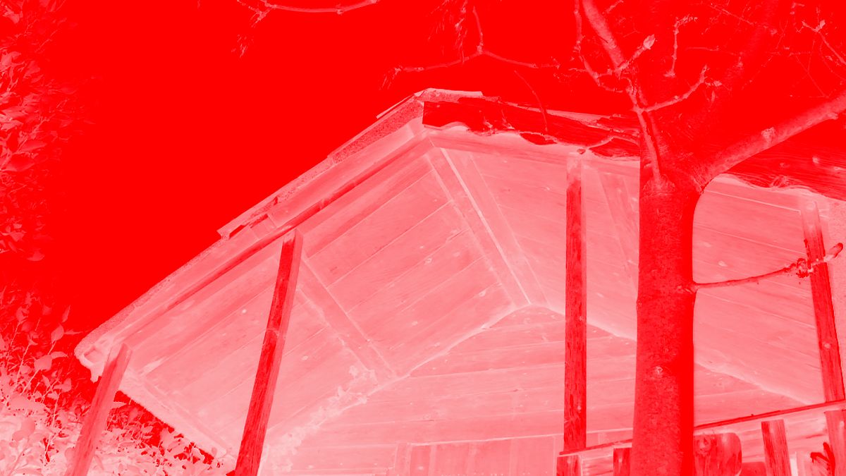 Still from 'The Treehouse Series' video