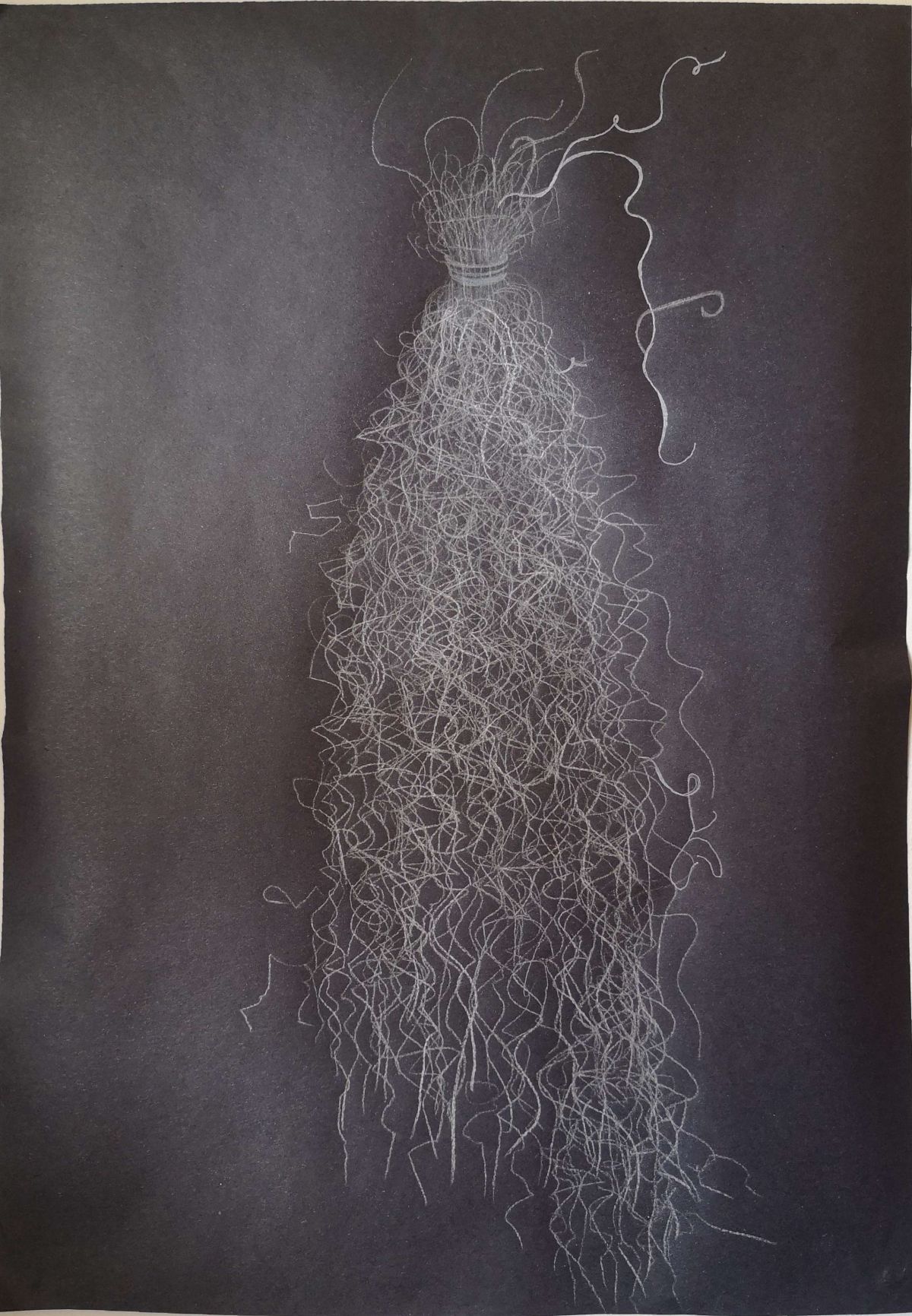'Growth #1', Coloured pencil, sugar paper, A2