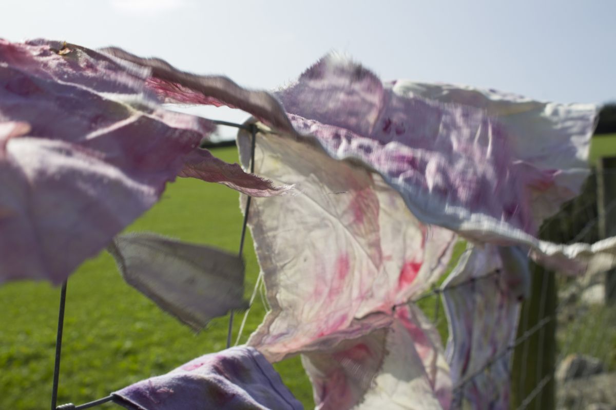 The Change Lab Exhibition: Will you walk with us? An ecofeminist approach to sustainable land practice