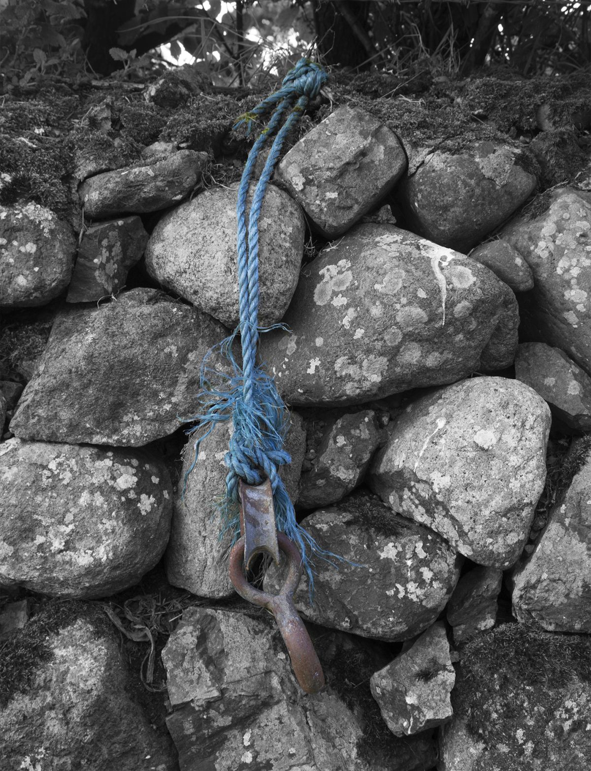 Photography exploring 'legacy', Beth Toner