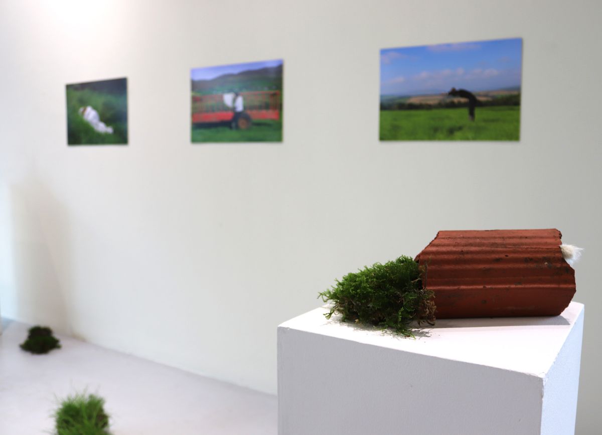 The Change Lab Exhibition: Will you walk with us? An ecofeminist approach to sustainable land practice (group project)