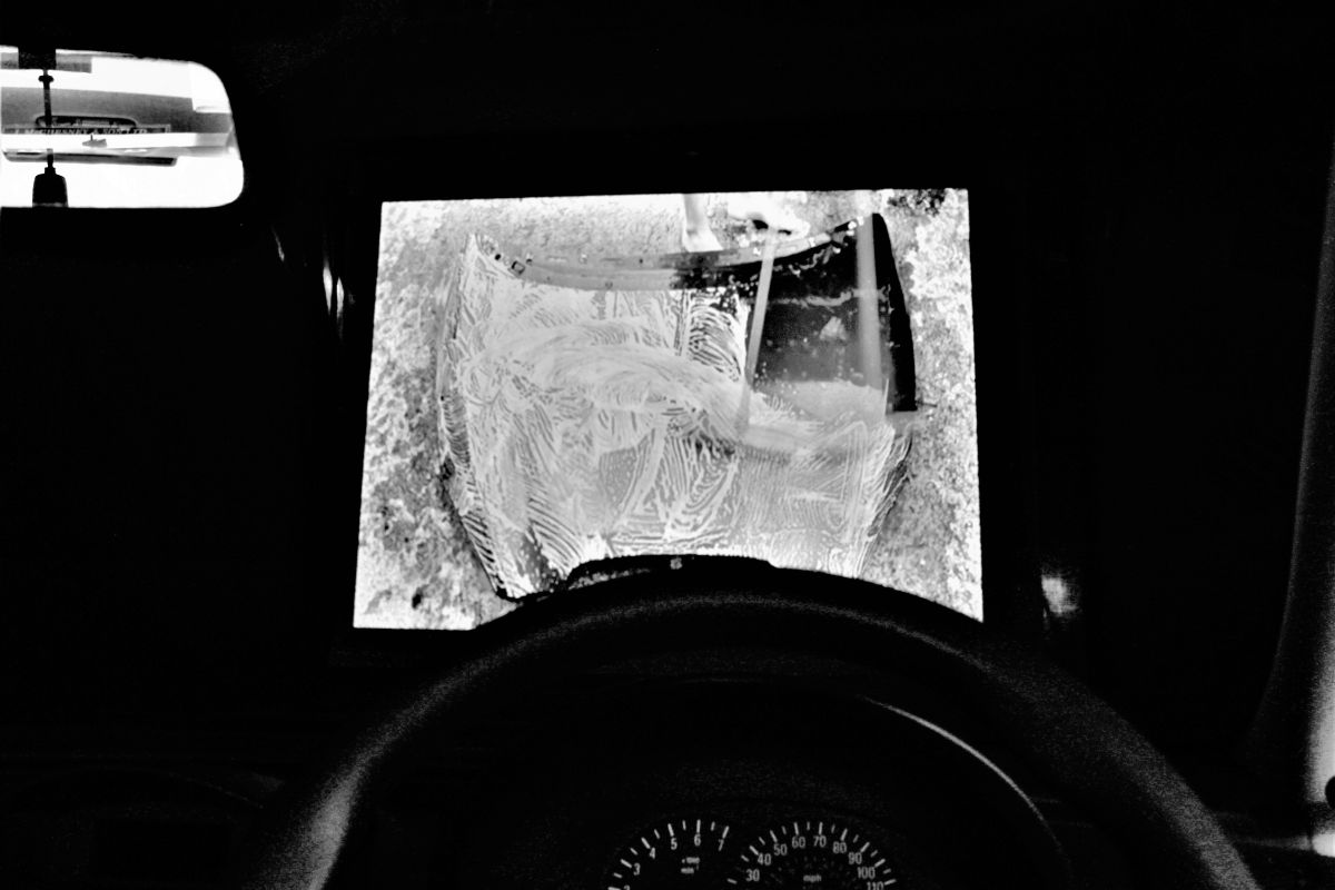 Vulnerable Freedom 2021 Interior