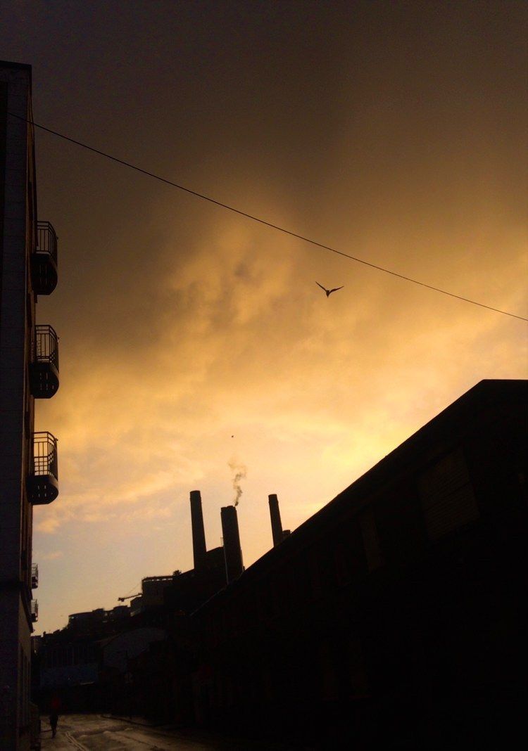 The colour of the sky captured in this photo reminds me of the heat that came from breweries and distilleries, and embraced me after heavy rains every time I walked on by