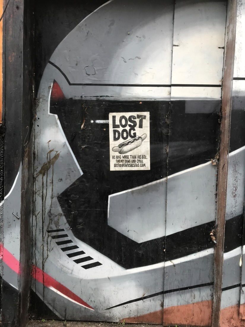 Lost and found posters bring humour and a narrative to the abandoned walls of the Liberties and other areas