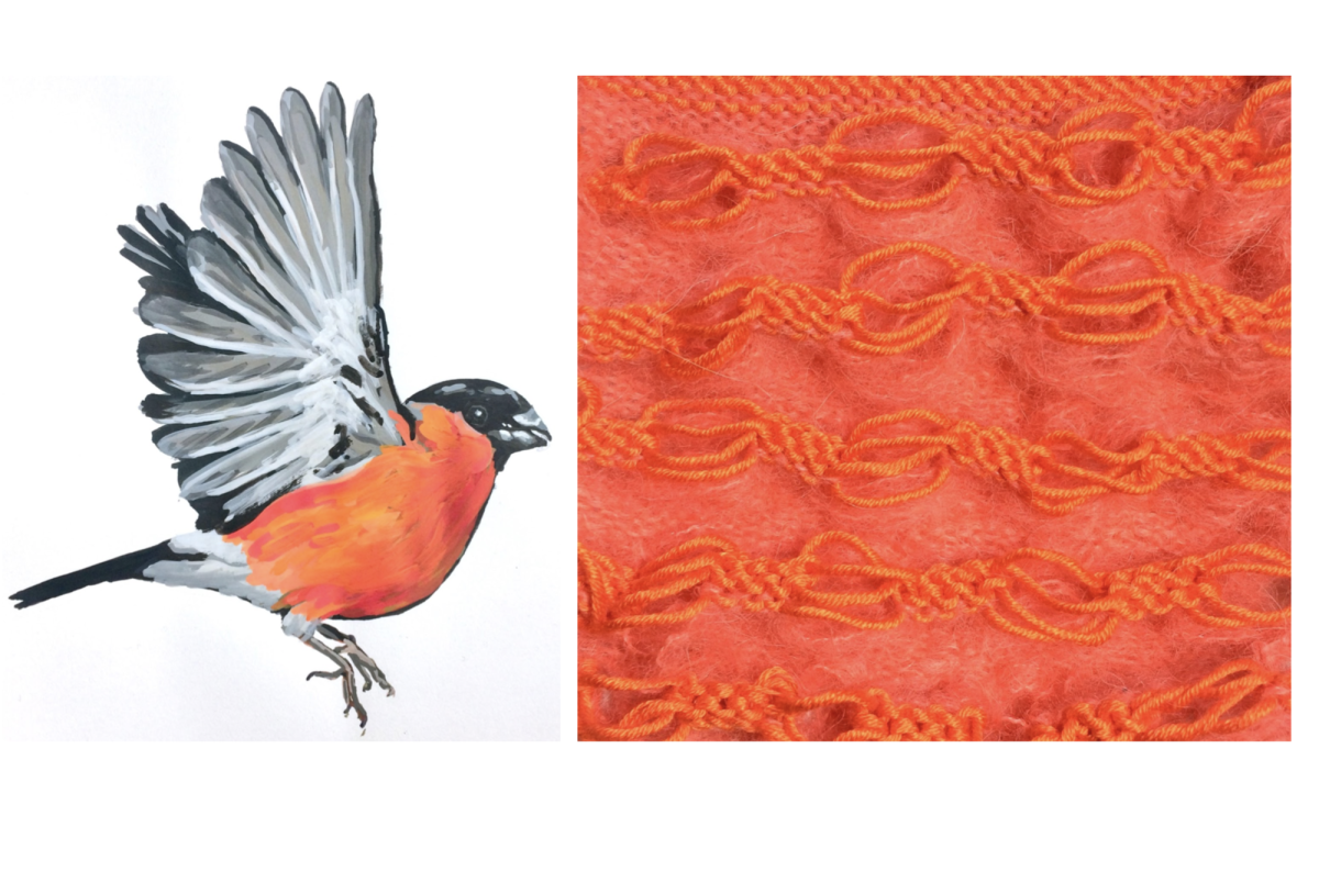 Bullfinch