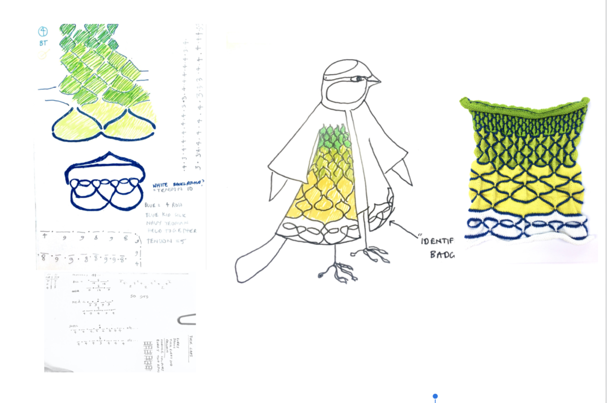 Blue Tit. Research