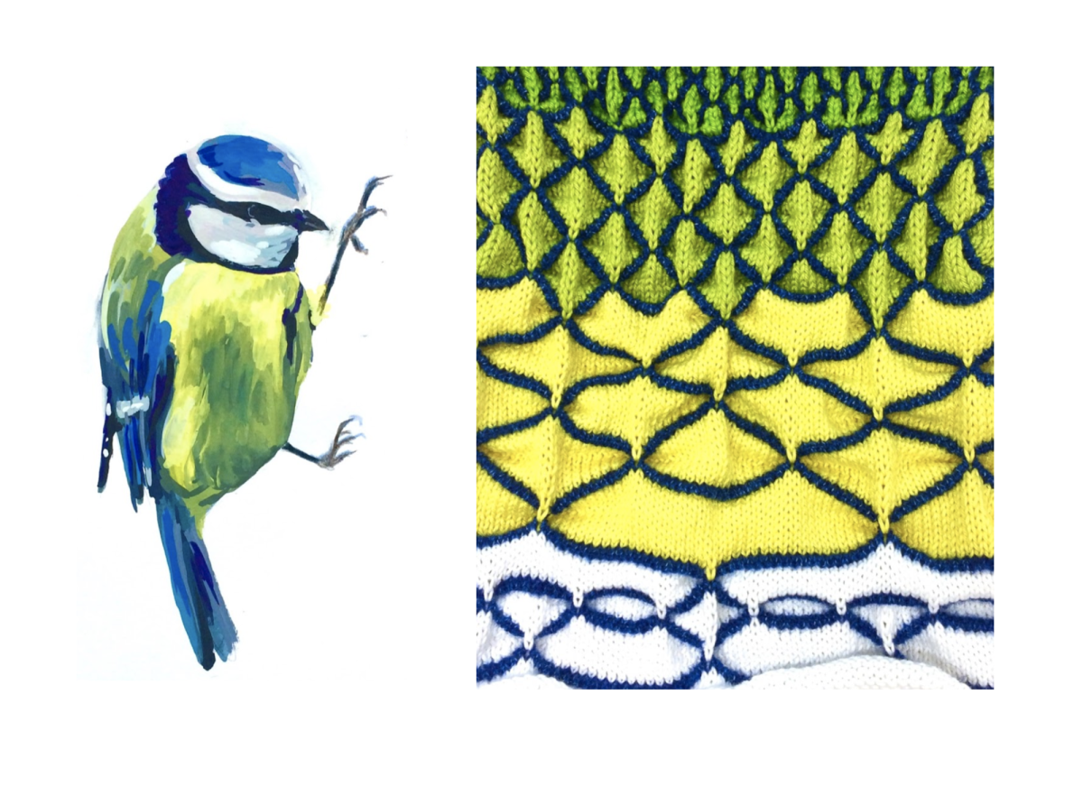 Blue Tit