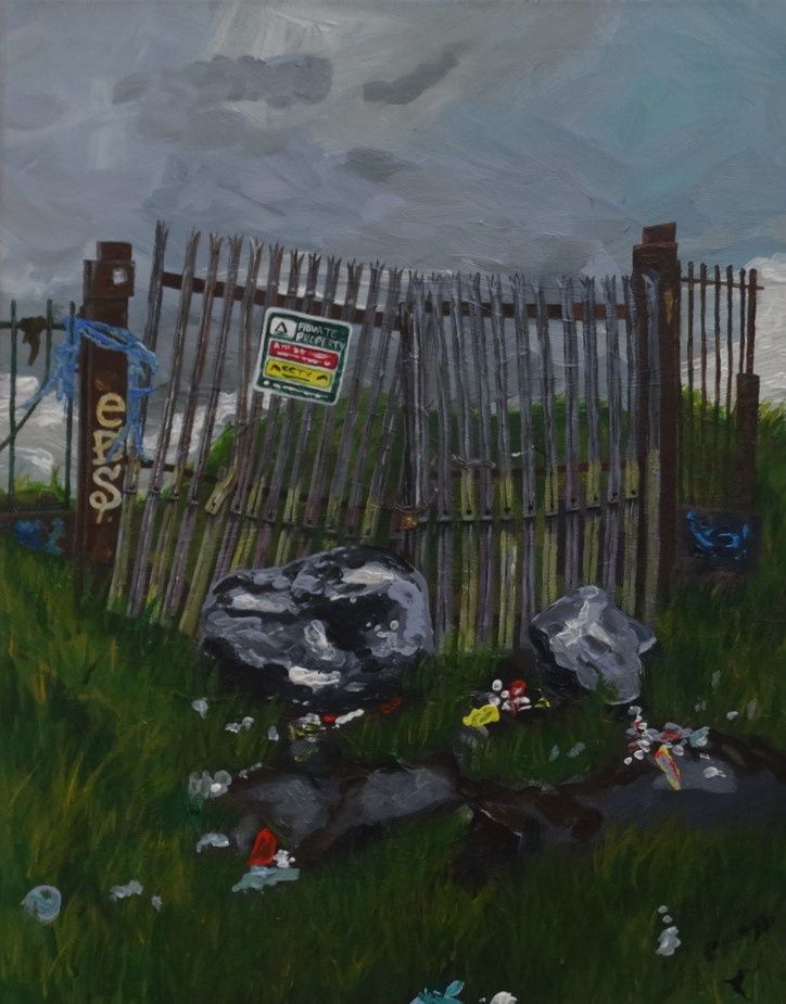 'The Backers' is the most expensive plot of land in Europe, valued at just over €44 million. It has been owned by Dublin City Council for over two decades and still lies vacant with a vacant site levy of 7% being paid on it annually