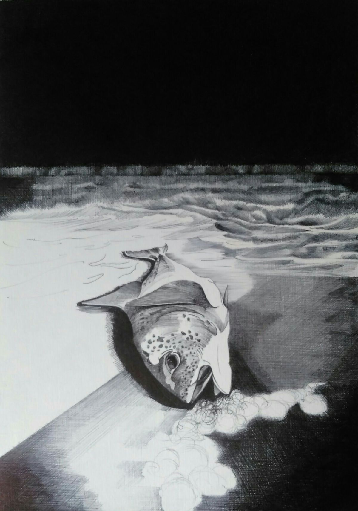 Fish choking on a beach. Black biro on canvas textured paper, 420 x 210mm