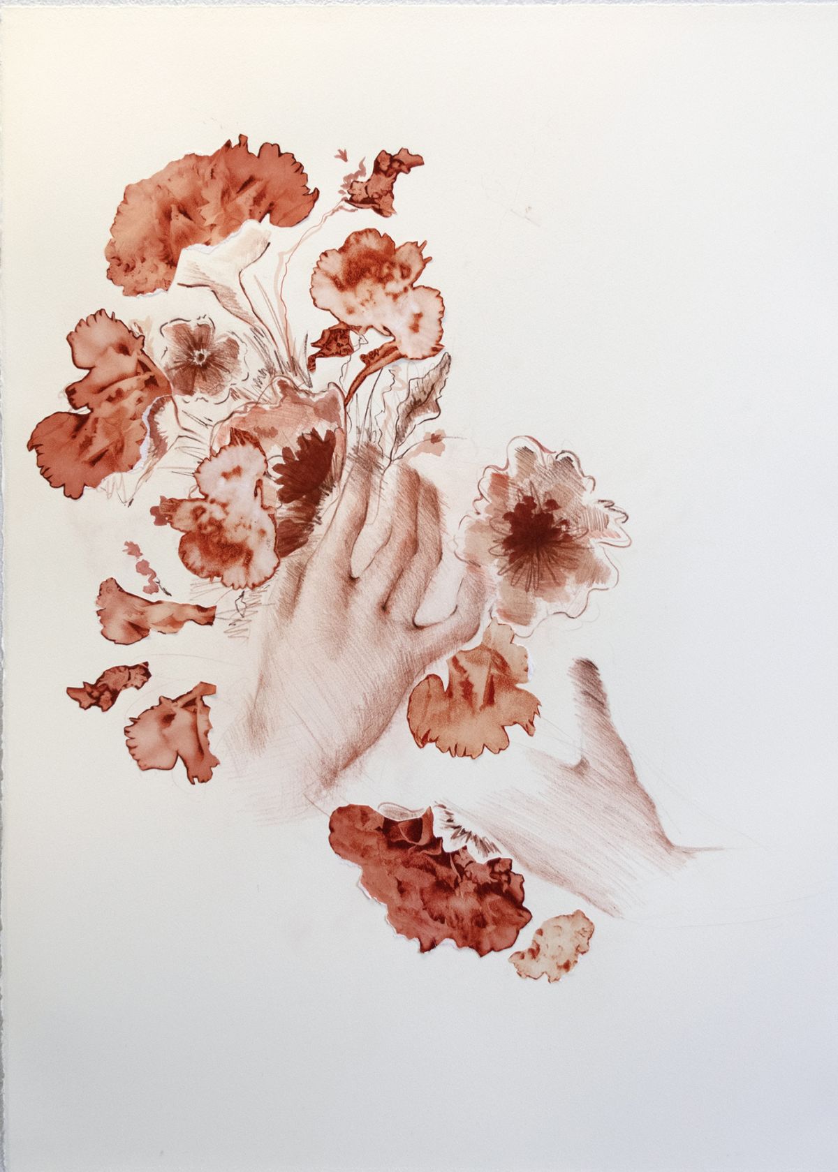 Hand Detail No.1. Collage, sanguine drawing, watercolour.
