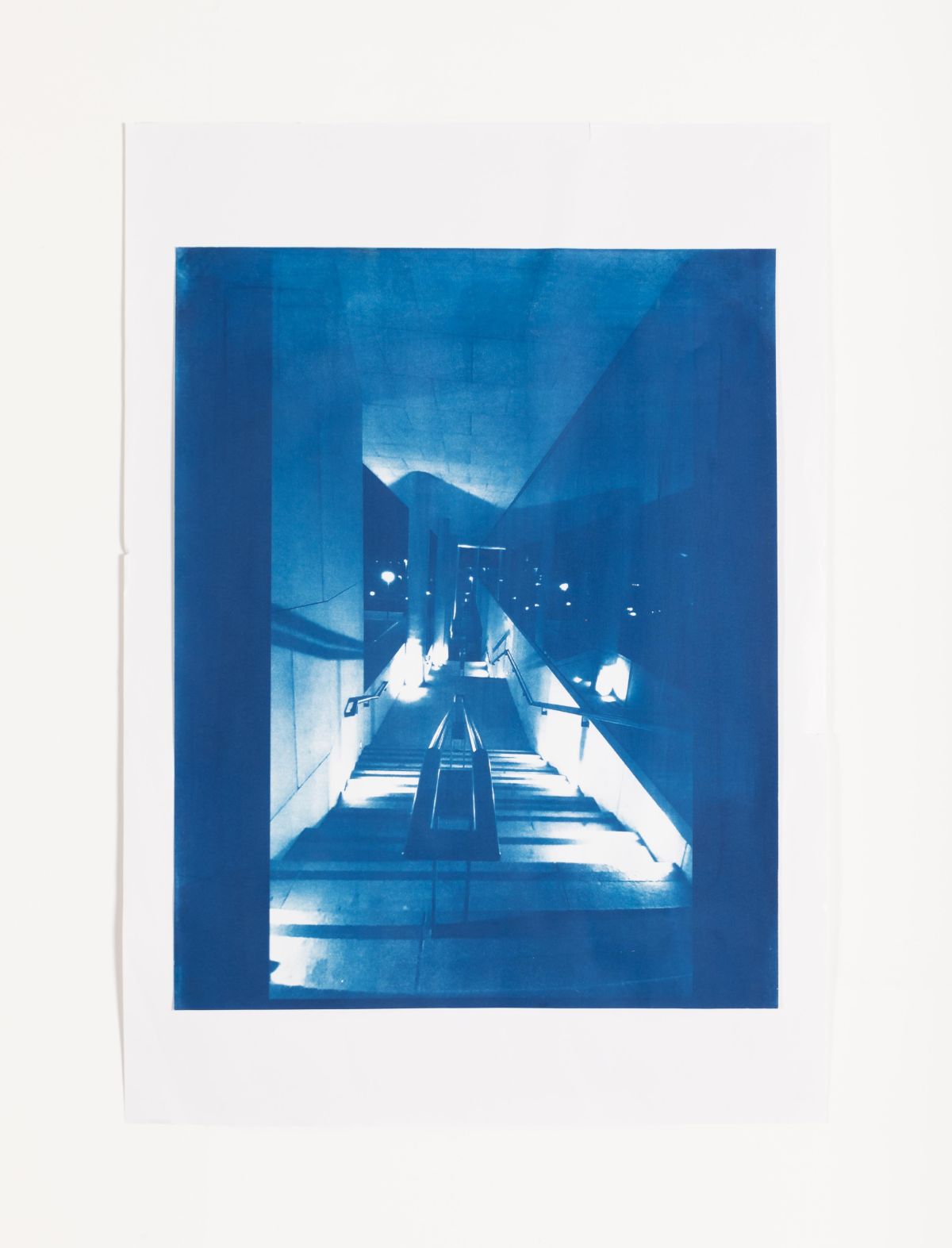 In Absentia 4 Lexicon. Cyanotype print on Permajet Portrait White 285 Paper, 75 x 60cm