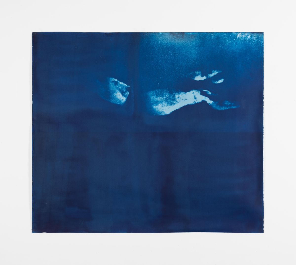 Lux Blue Series 1. Cyanotype print on Fabriano paper, 140 x 120cm