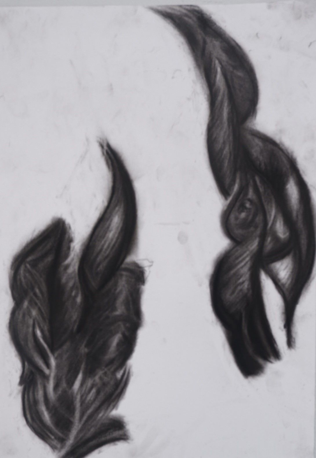 Tangled Leaves. Charcoal on paper, 60 x 100cm