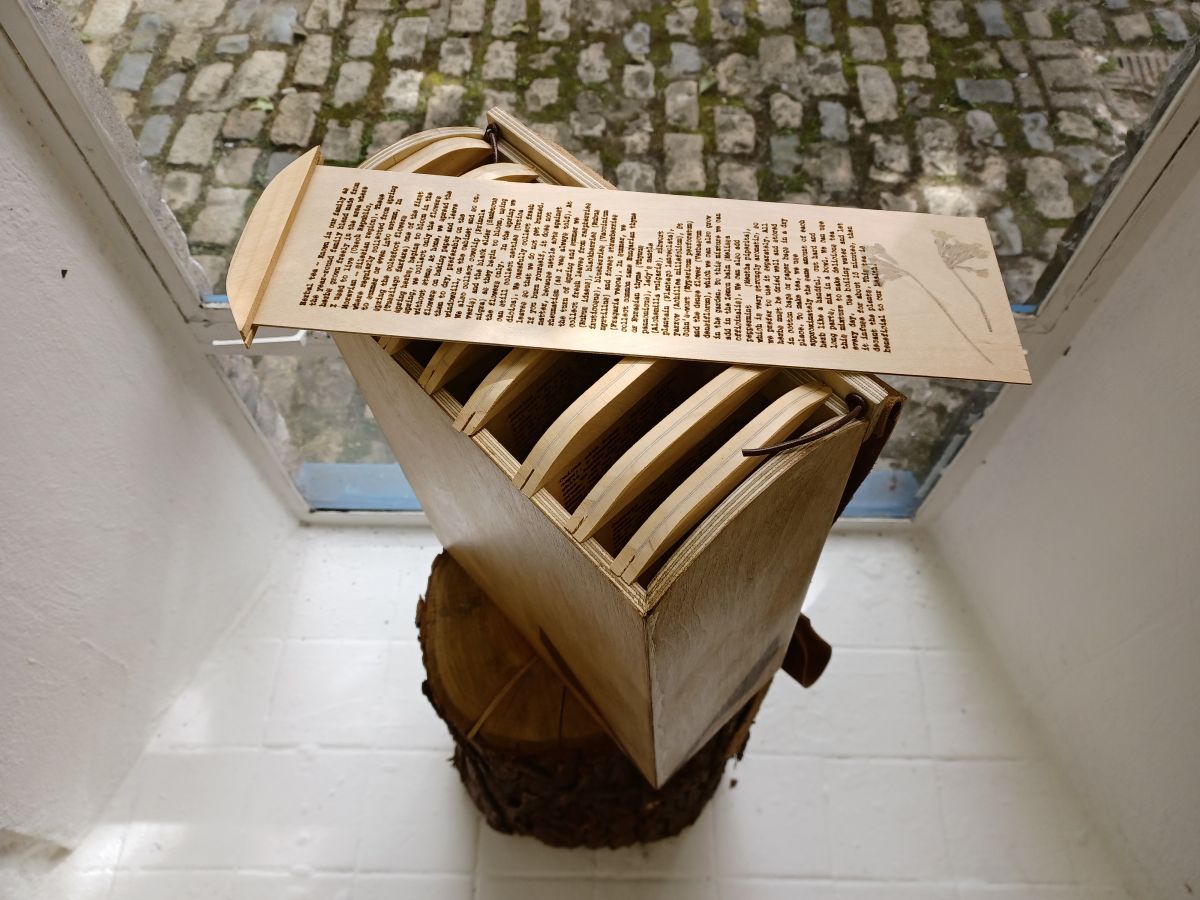 View of the laser cut recipe onto birch plywood