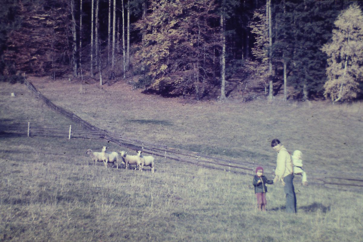 Childhood memory B