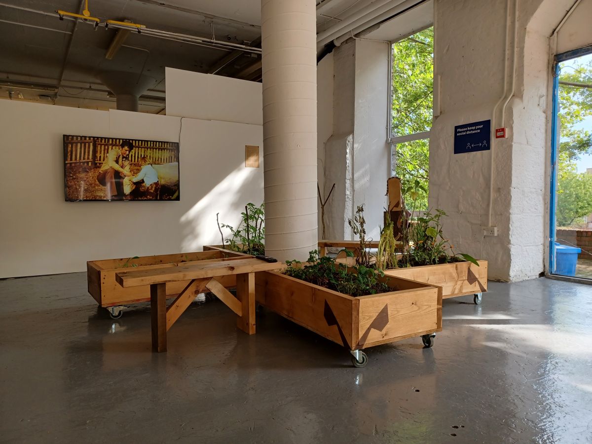 Mobile raised beds