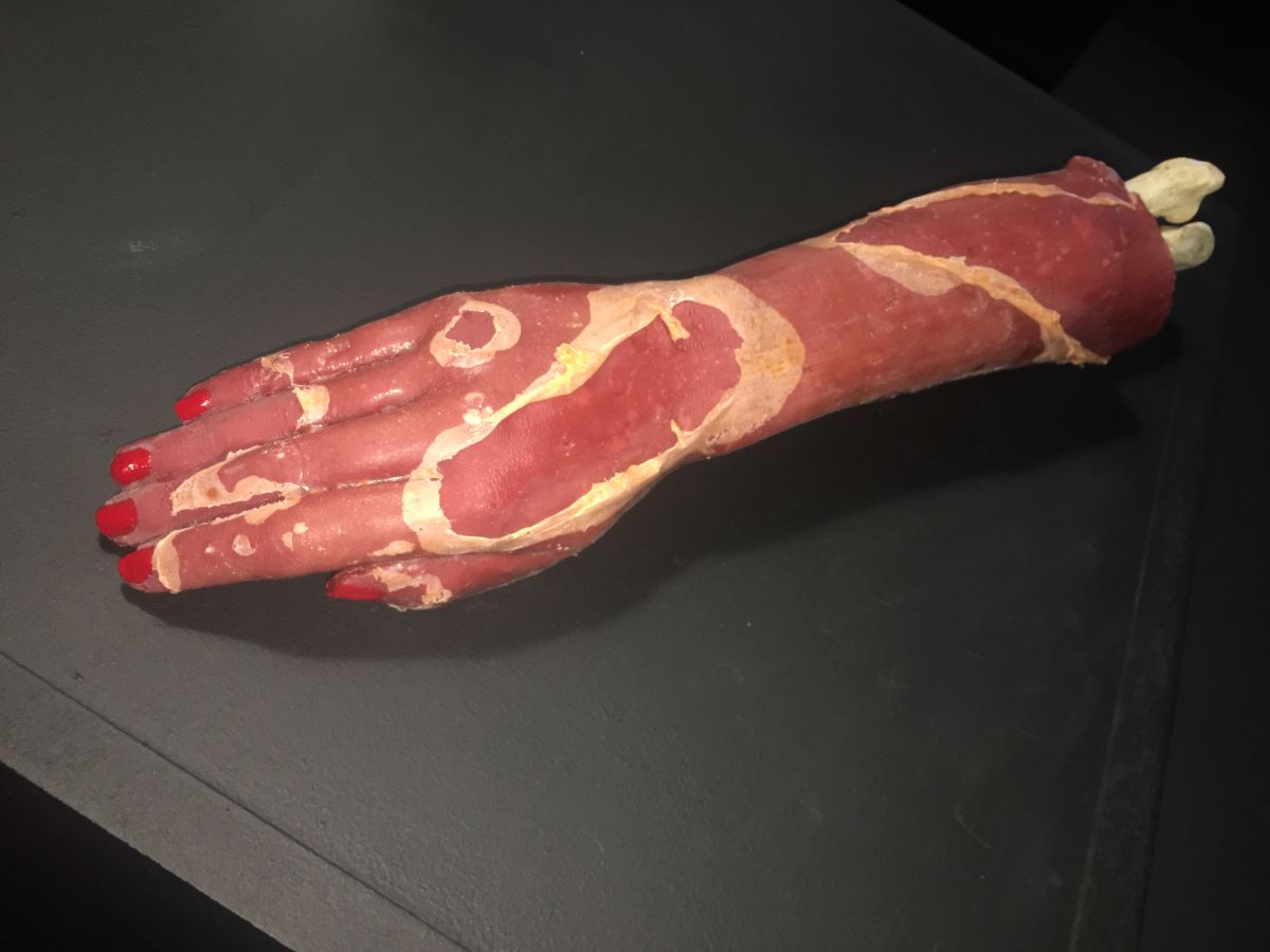 Degree Show work Disease. Deformity. Decay (2019)