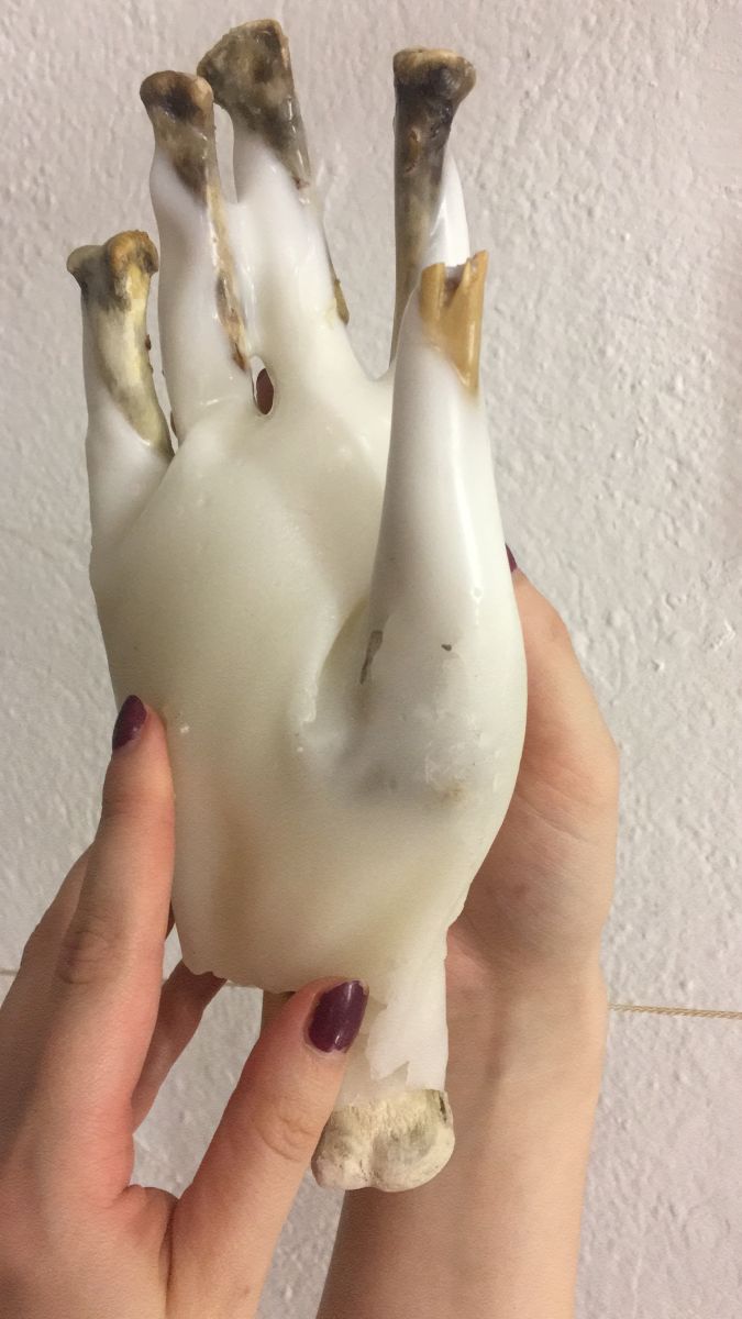 Degree Show work Disease. Deformity. Decay (2019)