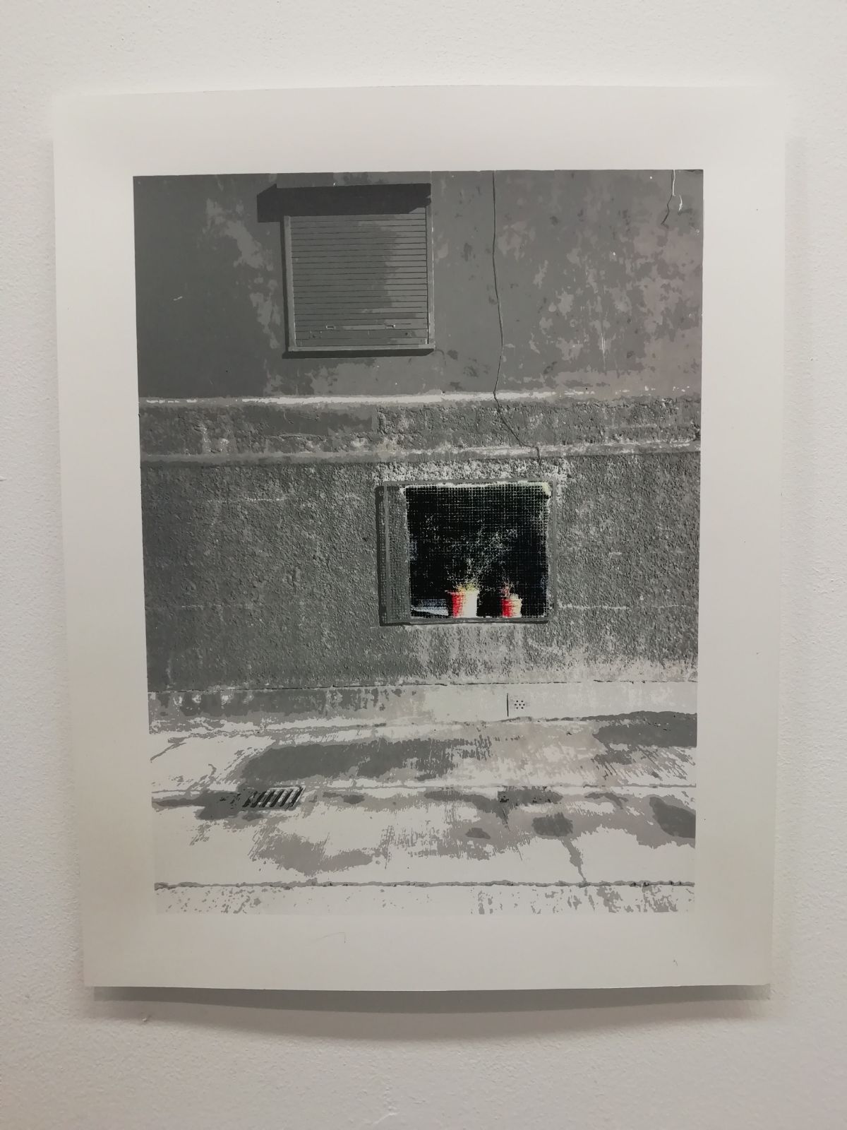 Vivification. V/E 1/25 screen print on Southbank/ Fabriano Fine Art paper