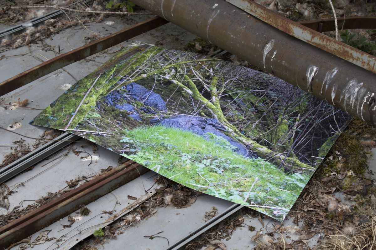 Obstructions (House), digital photograph on poster paper, guerrilla install