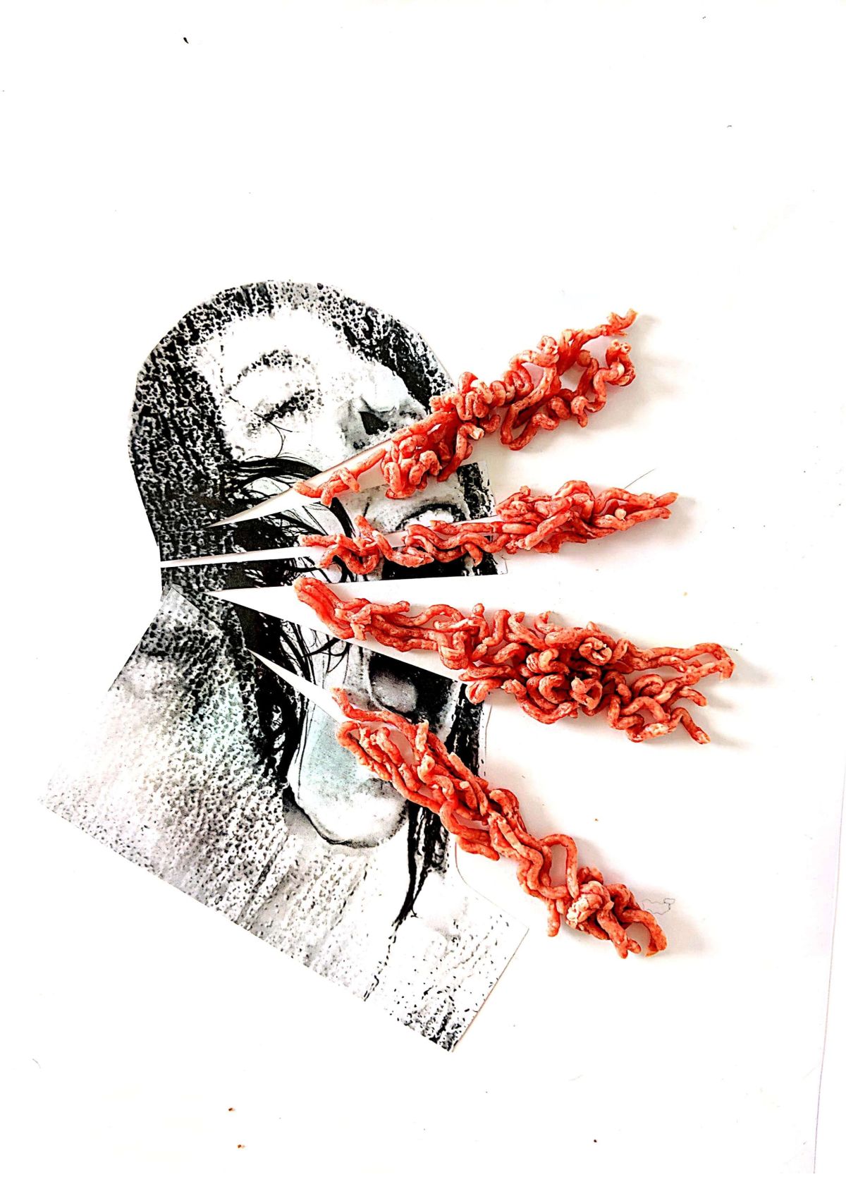 Hear US. A3 Photo-meat collage