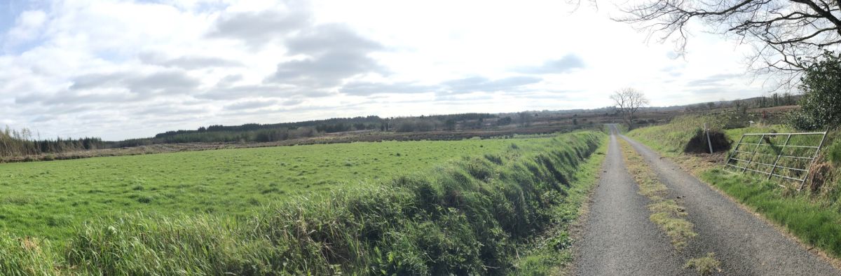 Boglands I