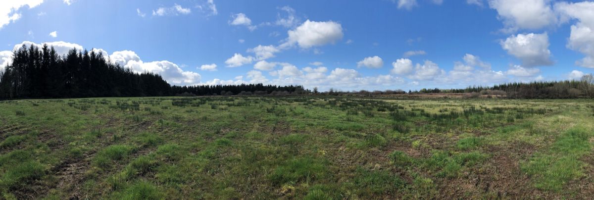 Boglands II
