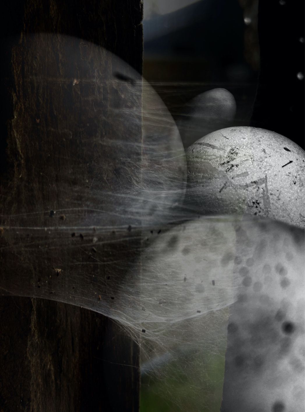Webbed Eggs, Moment in Time, 2020