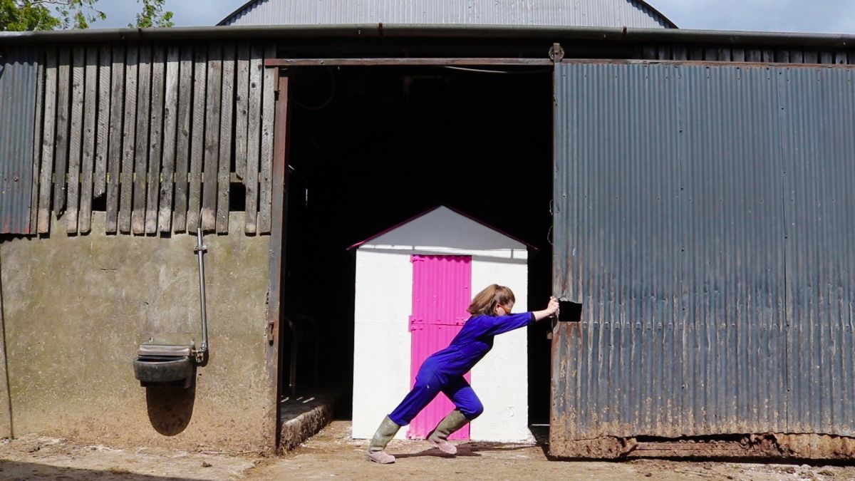The Unconventional Shed, 2019. Video Still
