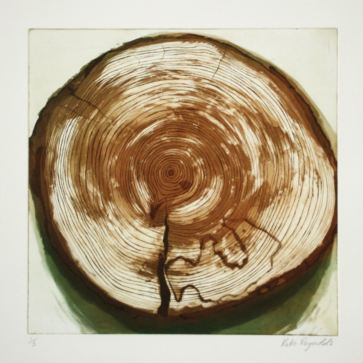 Grow in response. Etching and aquatint on copper plate printed on Fabriano Fine Art paper