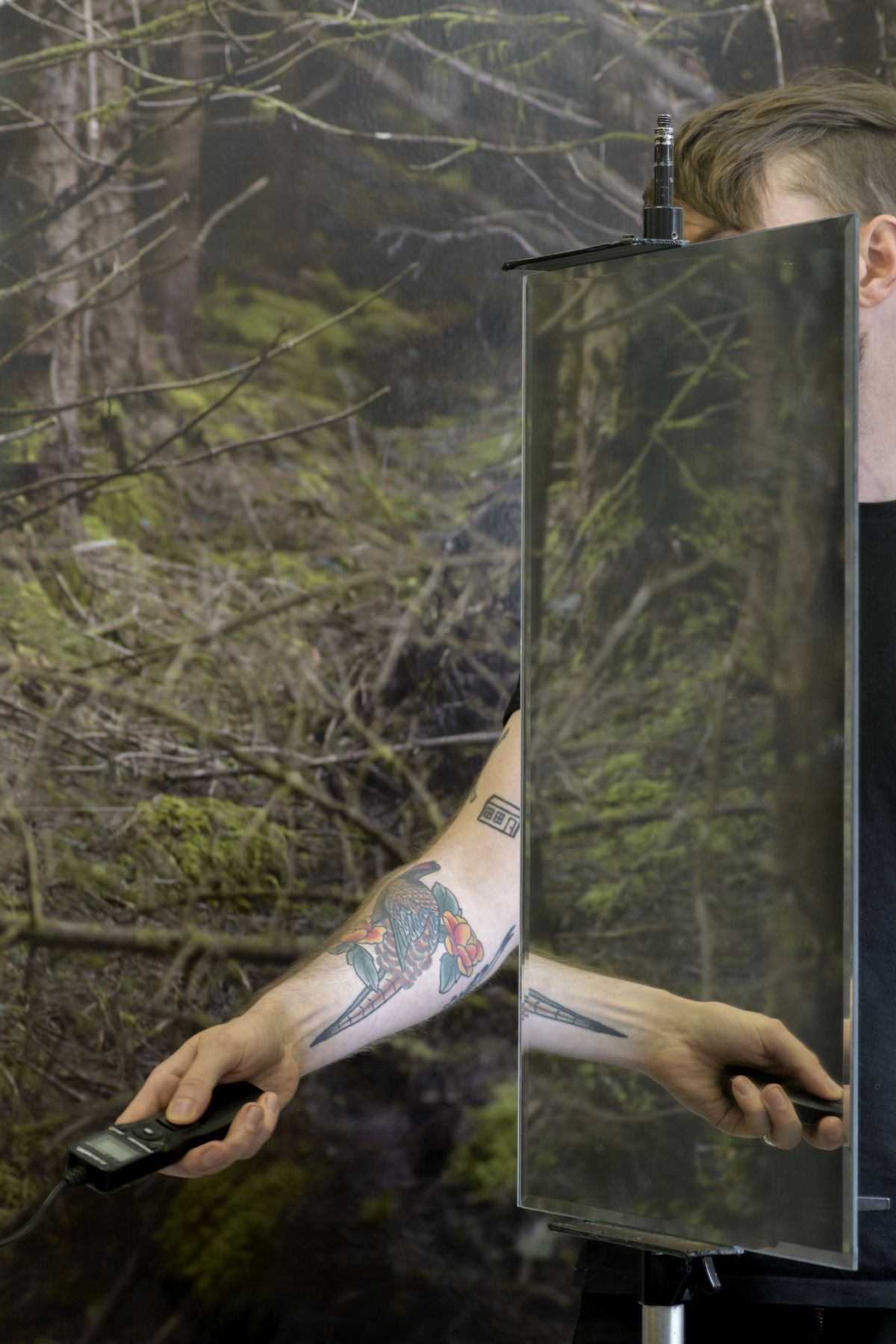 Images in Reflections #2676