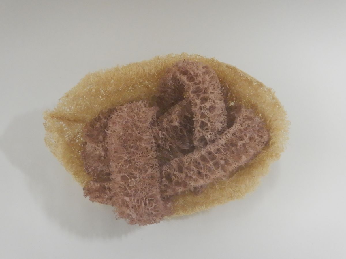 Purple Cocoon