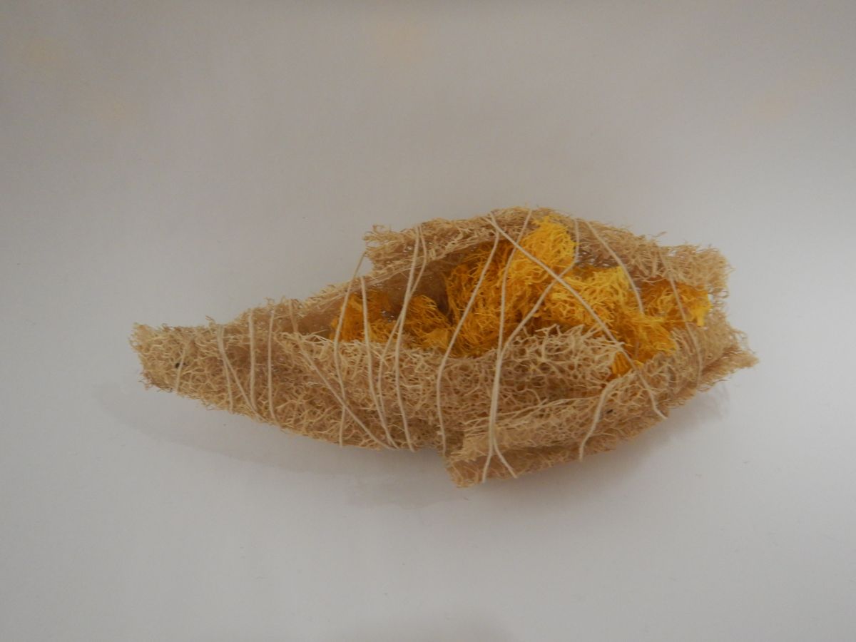 Yellow Cocoon