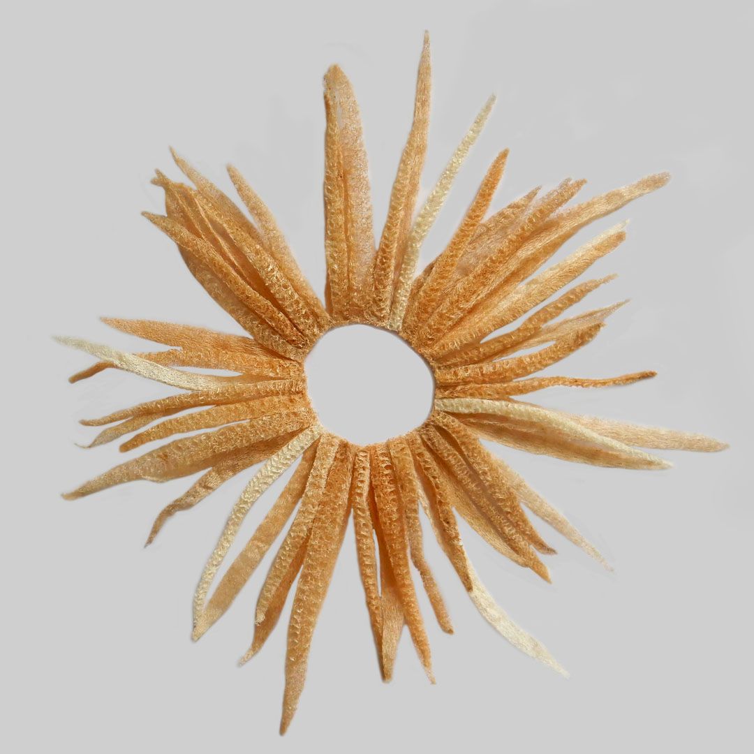 Deimatic Collar