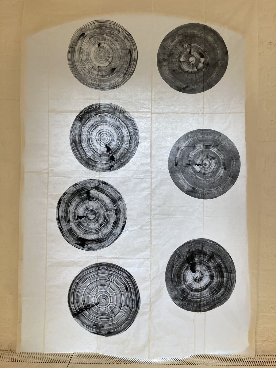 Monoprints on rice paper