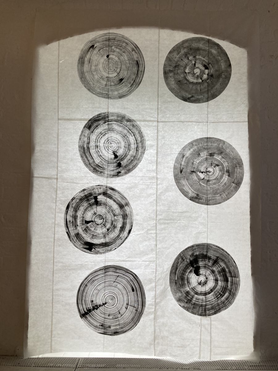 Monoprints on rice paper