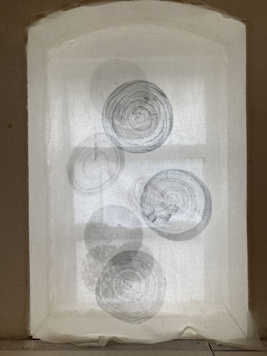 Monoprints on scrim