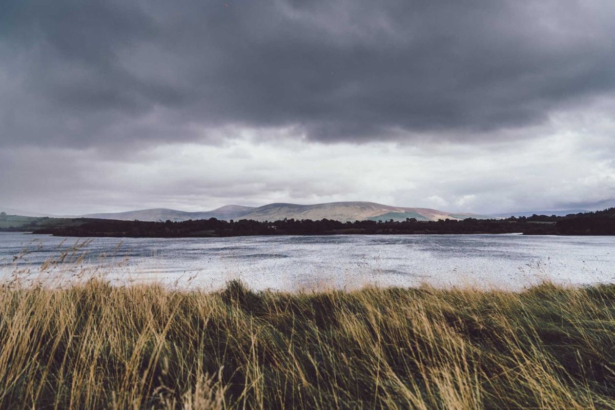 Landscape of Blessington Lakes. Source: VisitWicklow.ie. https://visitwicklow.ie/listing/blessington-lakes/