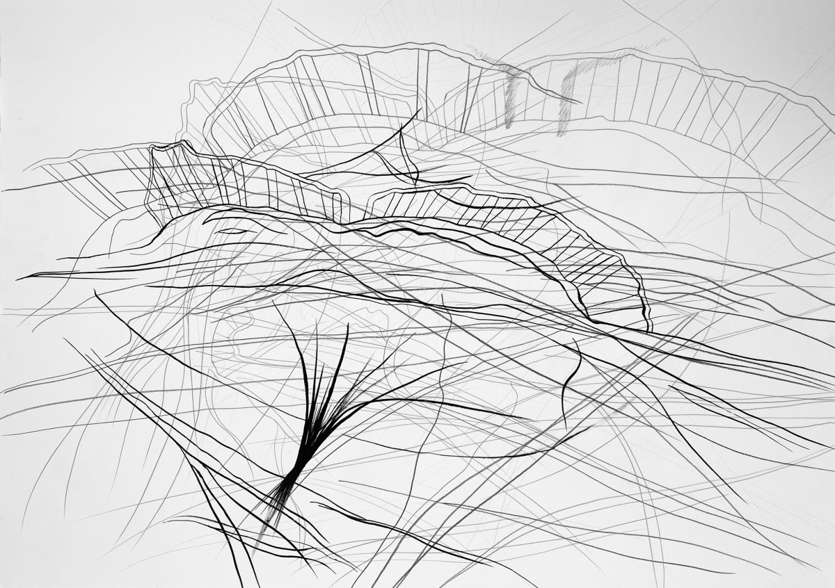 Refract #1, 2021. Indian ink and pencil on Fabriano Rosapina