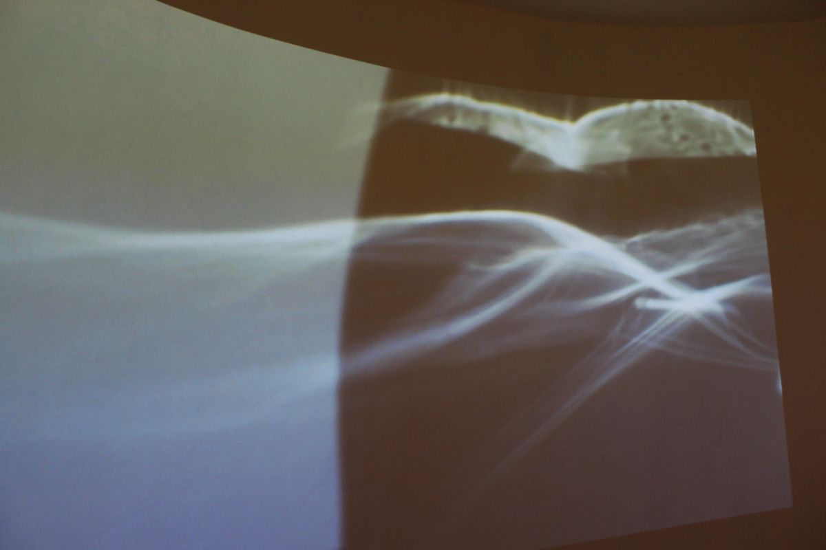 Millions of Colours. Video piece projected on curved wall