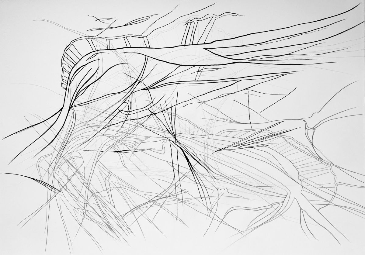 Refract #2, 2021. Indian ink and pencil on Fabriano Rosapina