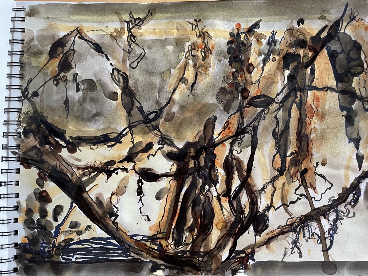 Seaweed. Drawing, mixed media