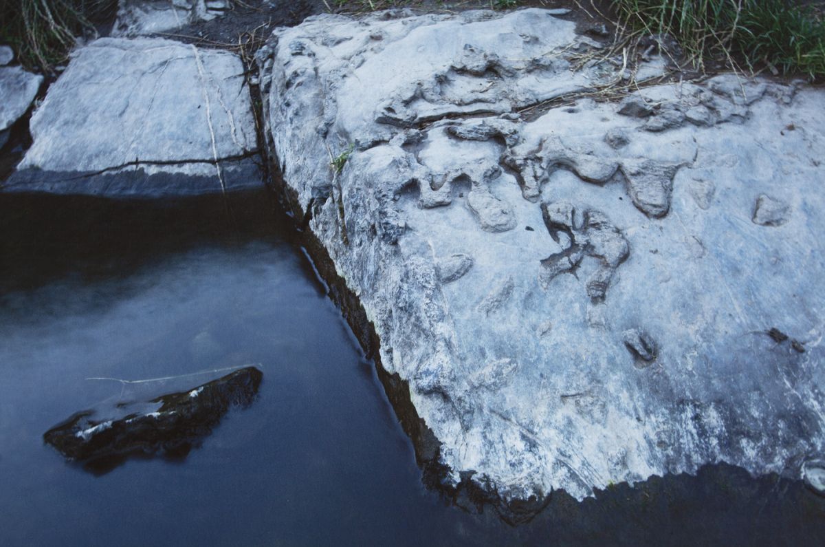 Rocks by the River Blackwater